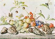 AST, Balthasar van der Still-life ggg china oil painting reproduction